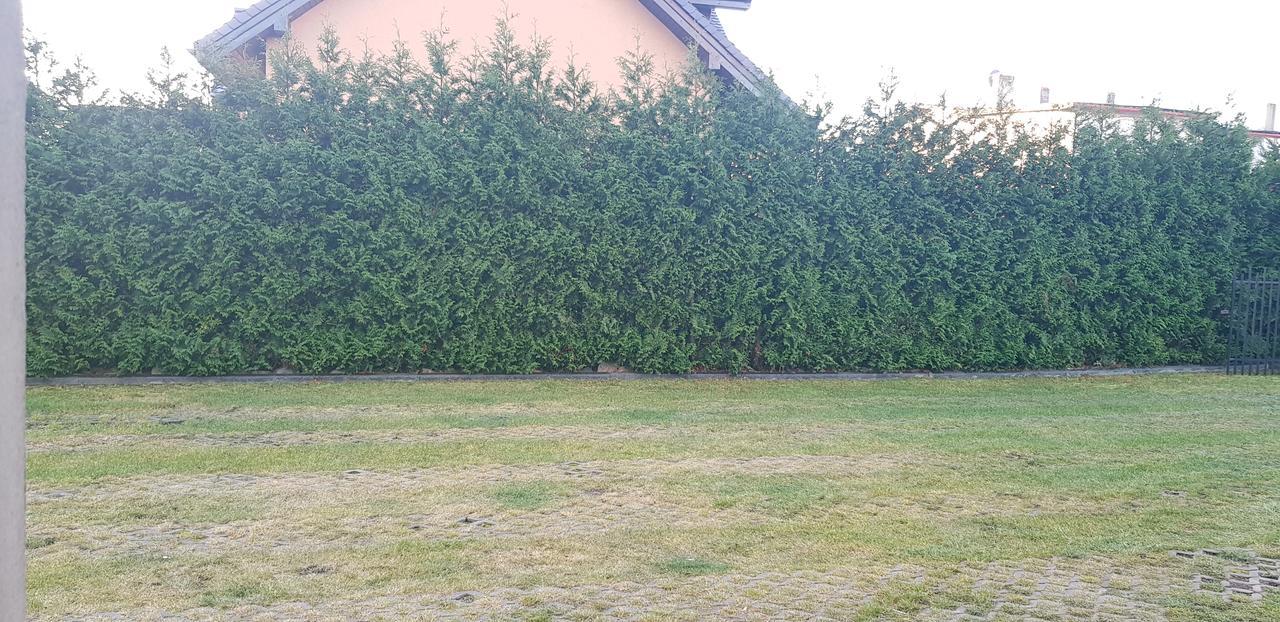 Pokoje Goscinne Pryzmat Władysławowo المظهر الخارجي الصورة